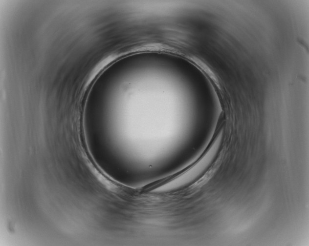 X0000099321438200805021304