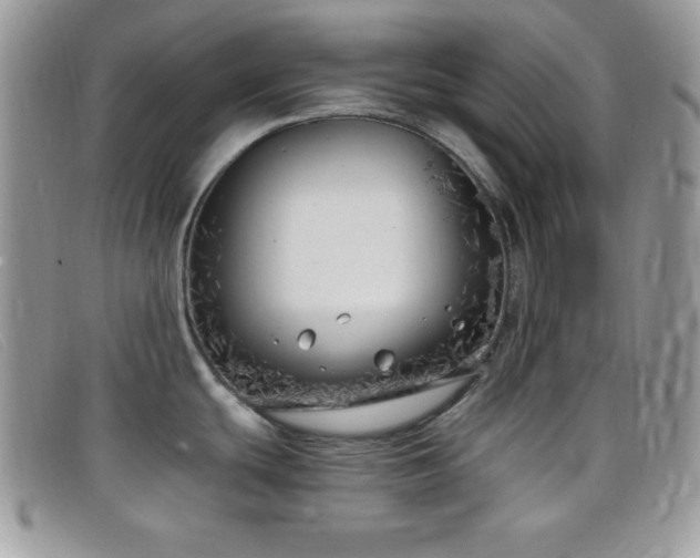 X0000099321439200805021304