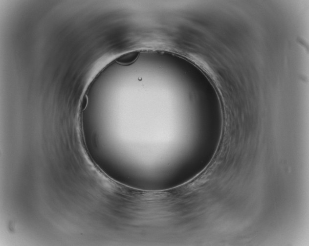 X0000099321440200805021304