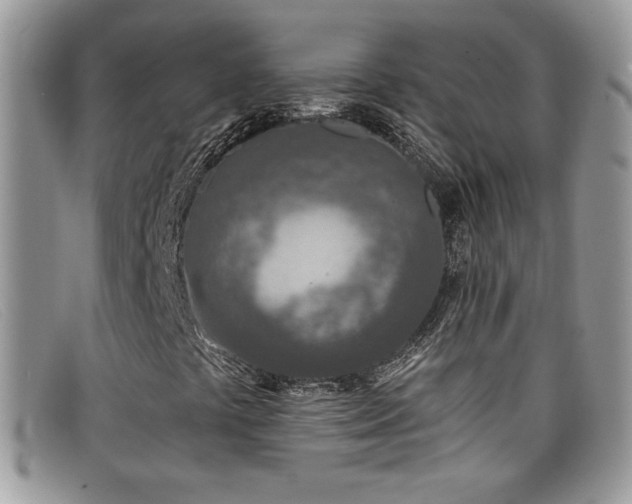 X0000099321441200805021303