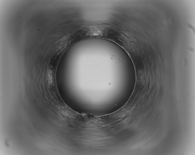 X0000099321442200805021303