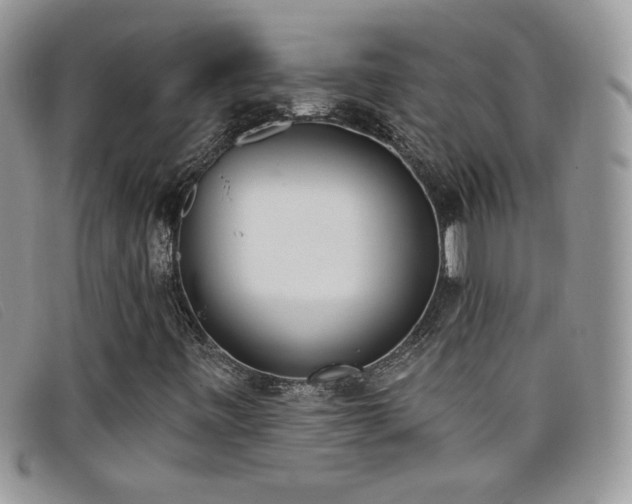 X0000099321443200805021303