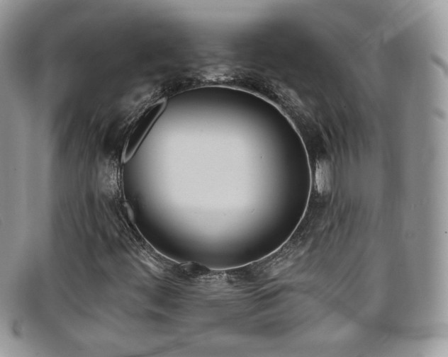 X0000099321444200805021303