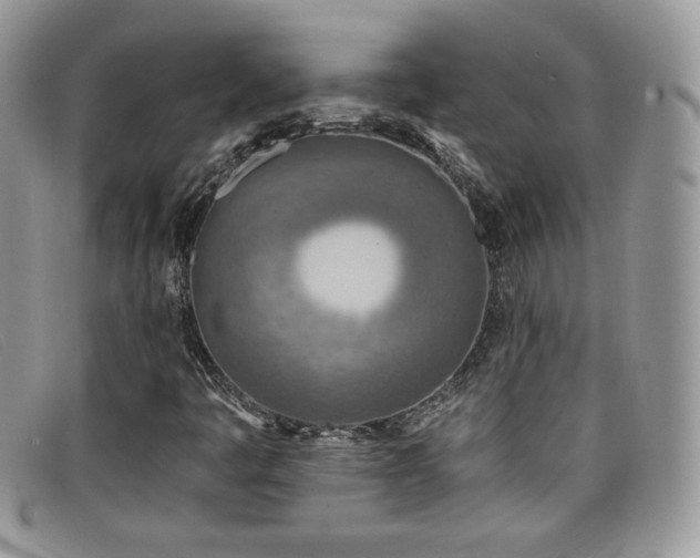 X0000099321445200805021303