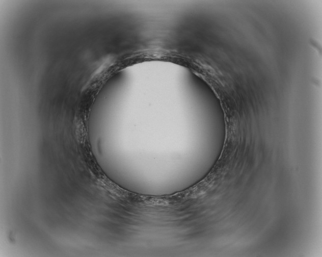 X0000099321446200805021303
