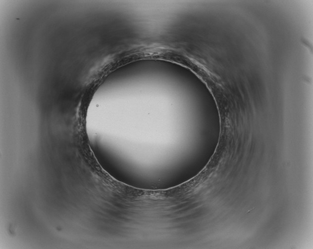X0000099321447200805021303
