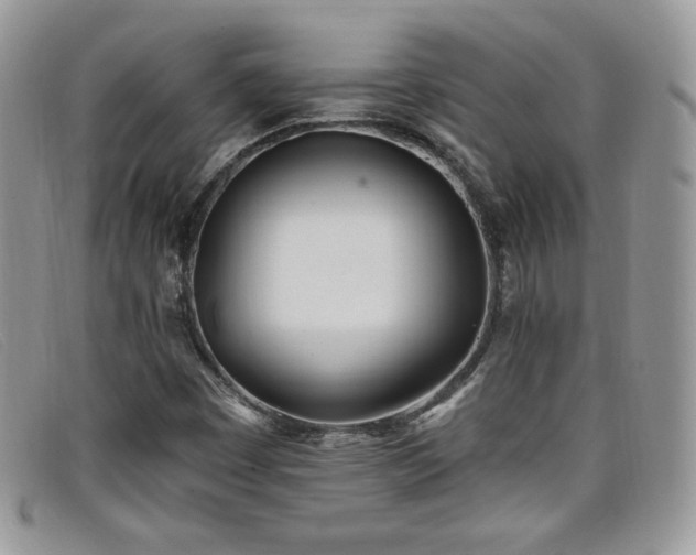 X0000099321449200805021303