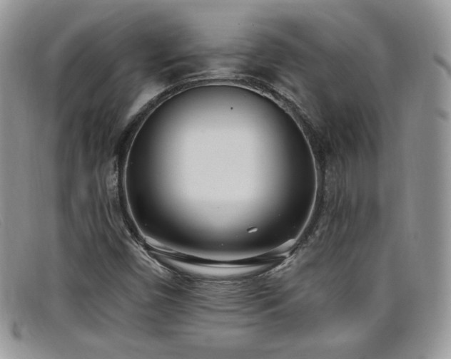 X0000099321450200805021303