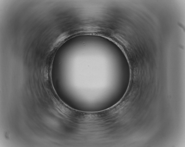 X0000099321451200805021303