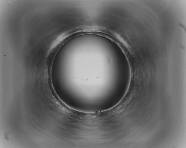 X0000099321456200805021303