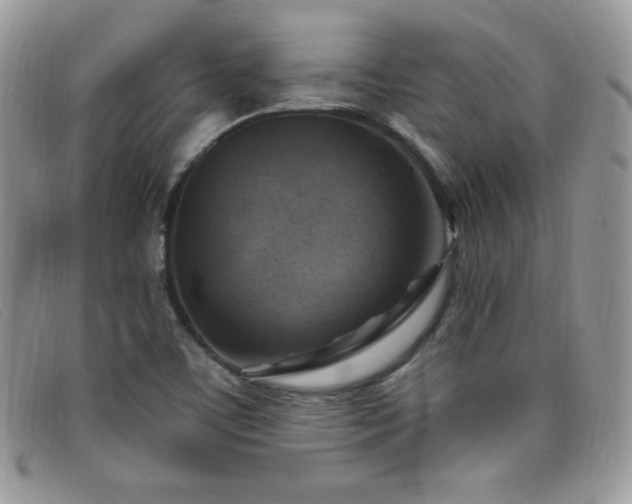 X0000099321459200805021303