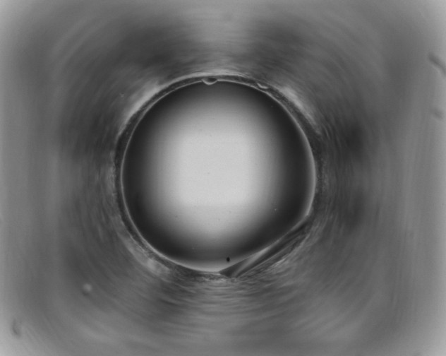 X0000099321460200805021303