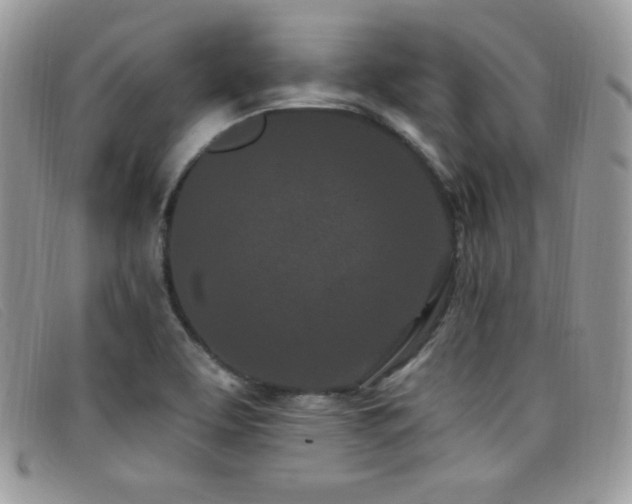X0000099321463200805021303