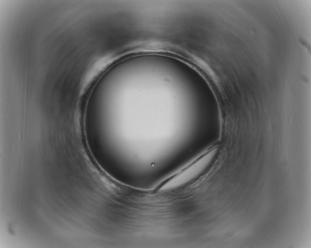 X0000099321464200805021303