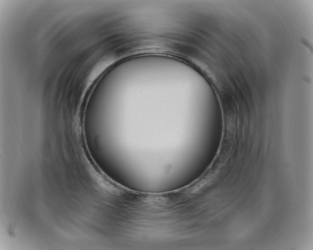X0000099321466200805021303