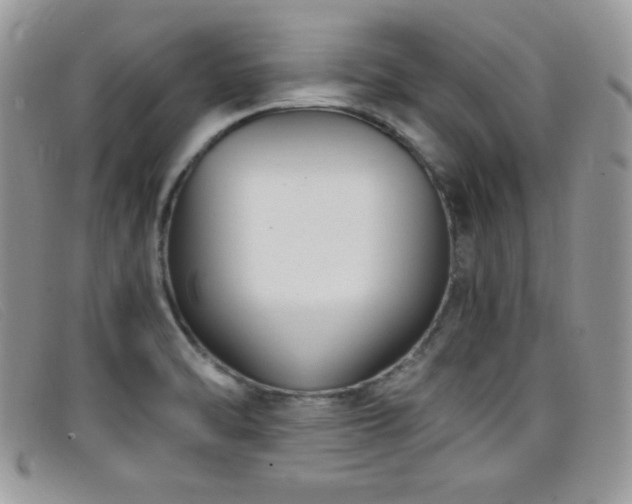X0000099321470200805021303