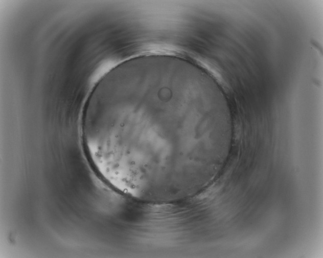 X0000099321471200805021303