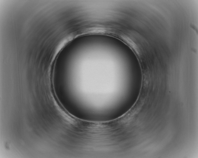 X0000099321475200805021303