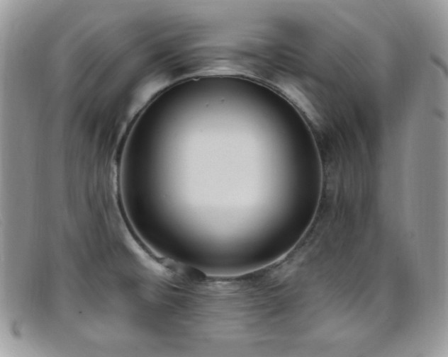 X0000099321476200805021303