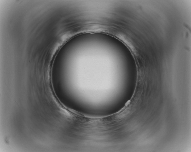 X0000099321477200805021303