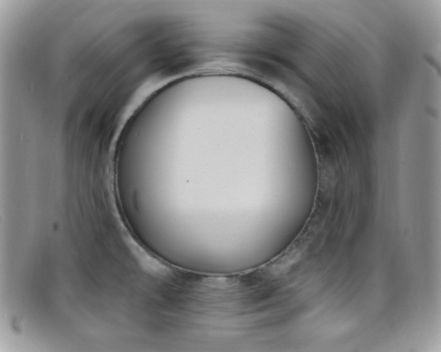 X0000099321478200805021303