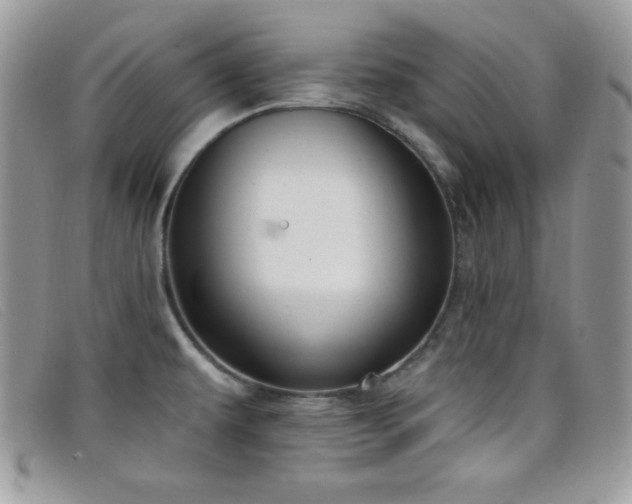 X0000099321479200805021303