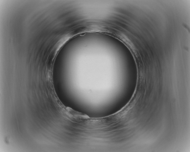X0000099321481200805021303