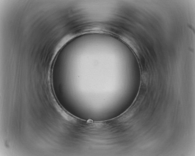 X0000099321482200805021303