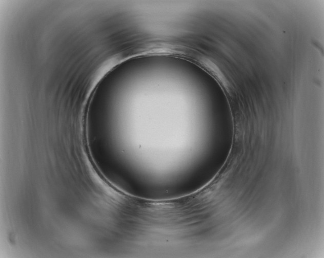 X0000099321483200805021303