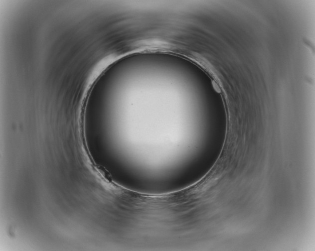 X0000099321488200805021303