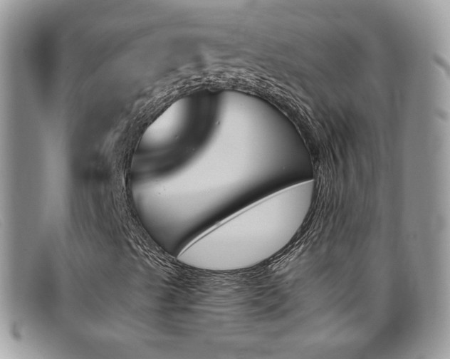 X0000099321489200805021302