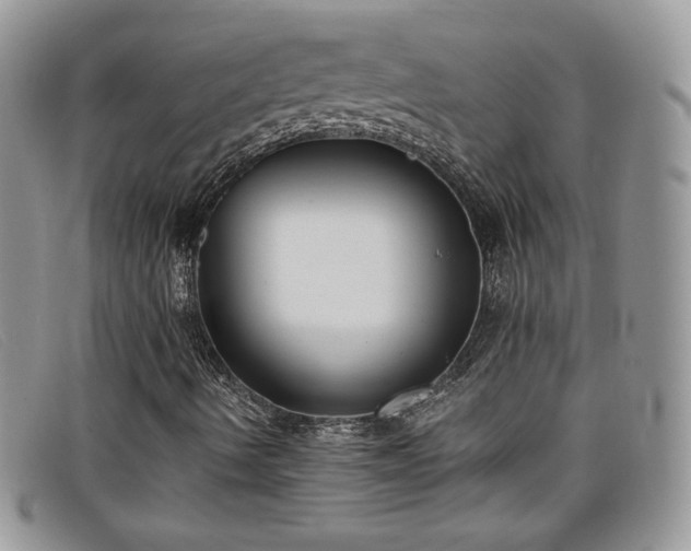 X0000099321490200805021302