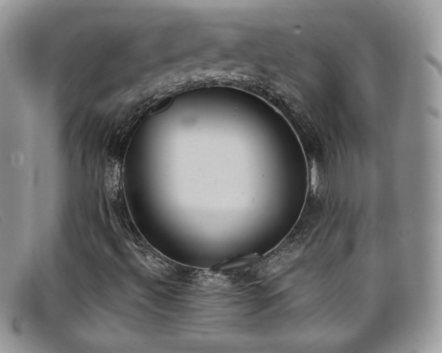 X0000099321492200805021302