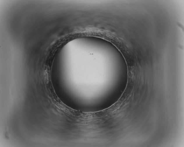 X0000099321493200805021302