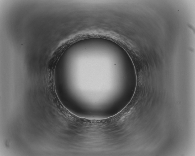 X0000099321494200805021302