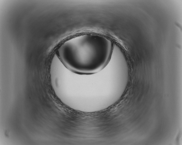 X0000099321496200805021302