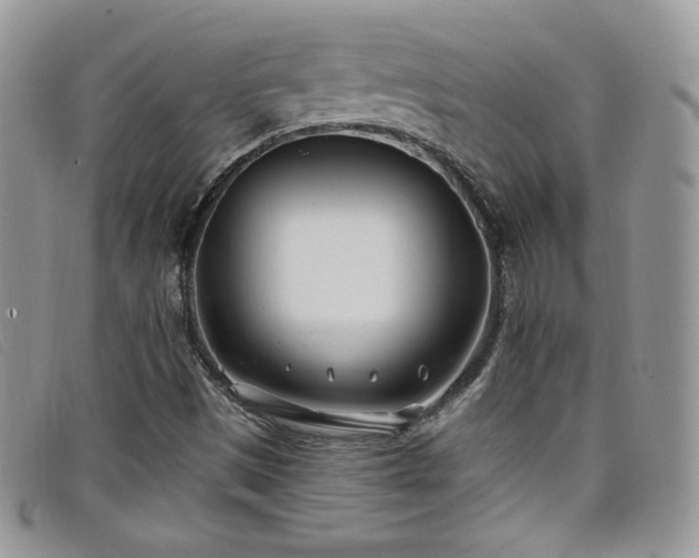 X0000099321497200805021302