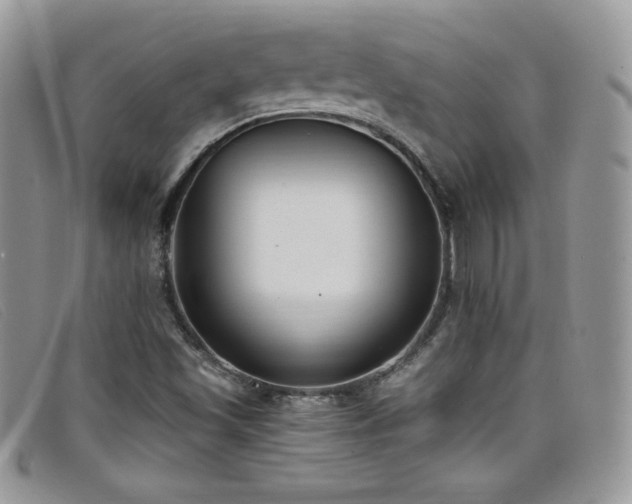 X0000099321501200805021302