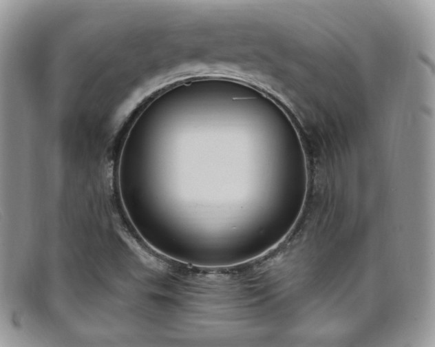 X0000099321503200805021302