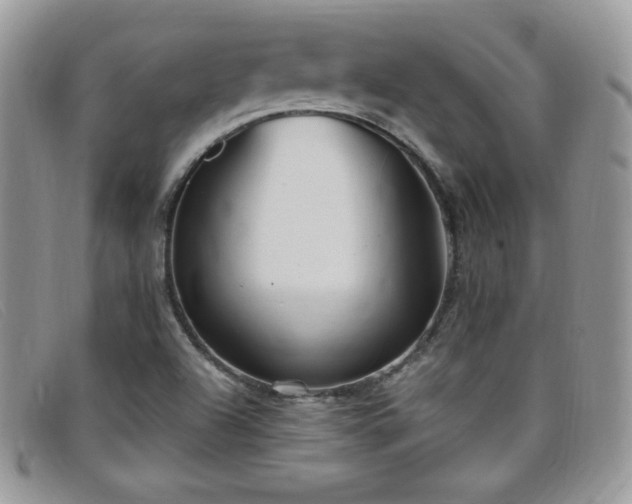 X0000099321504200805021302