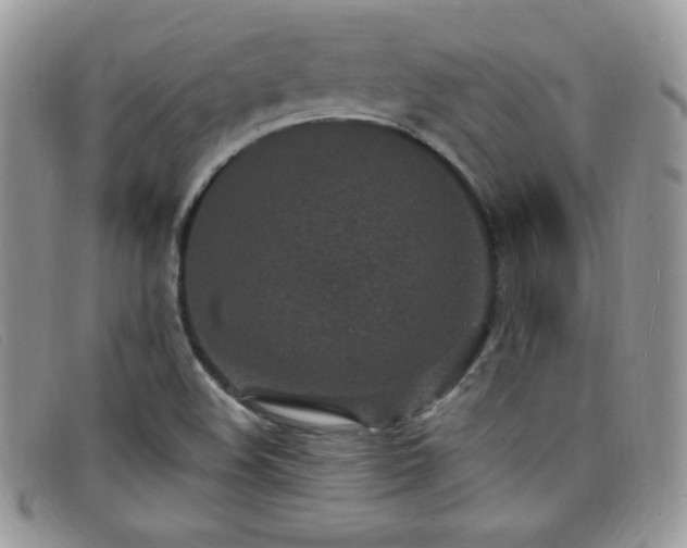 X0000099321508200805021302
