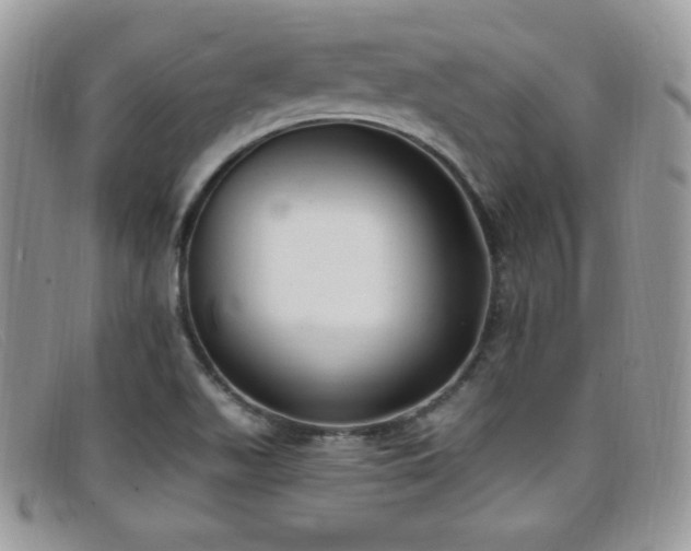 X0000099321511200805021302