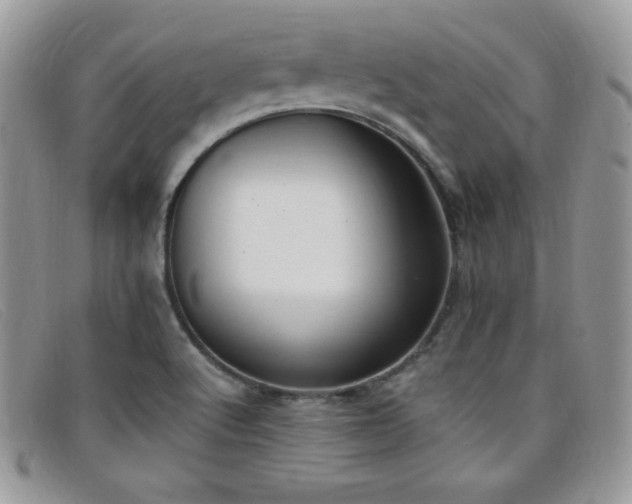 X0000099321512200805021302