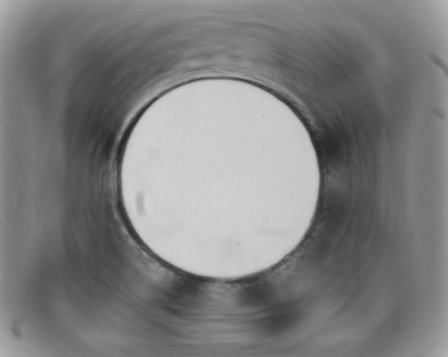 X0000099321514200805021302