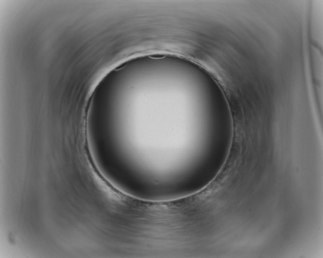 X0000099321524200805021302