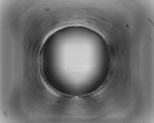X0000099321526200805021302