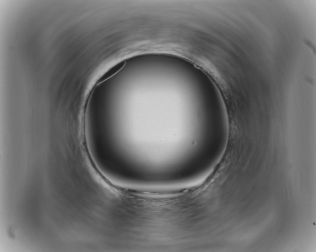 X0000099321528200805021302