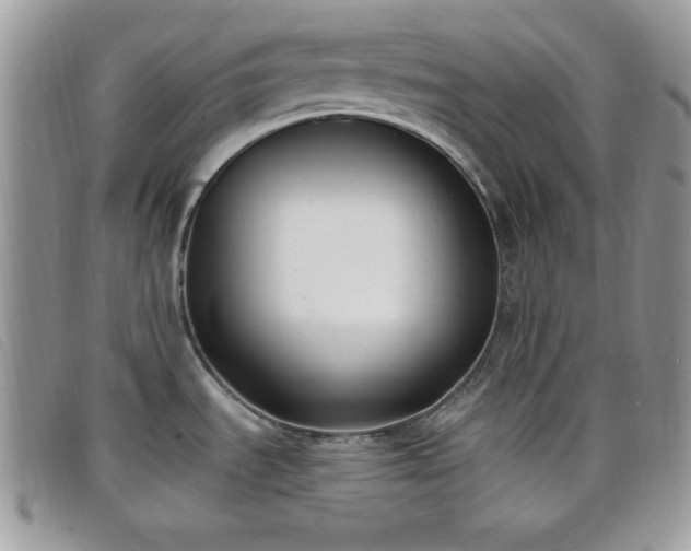 X0000099321535200805021303