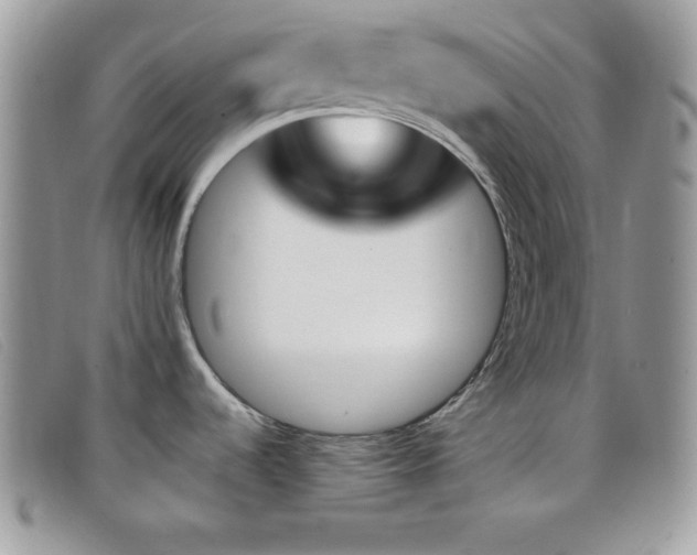X0000099321536200805021303