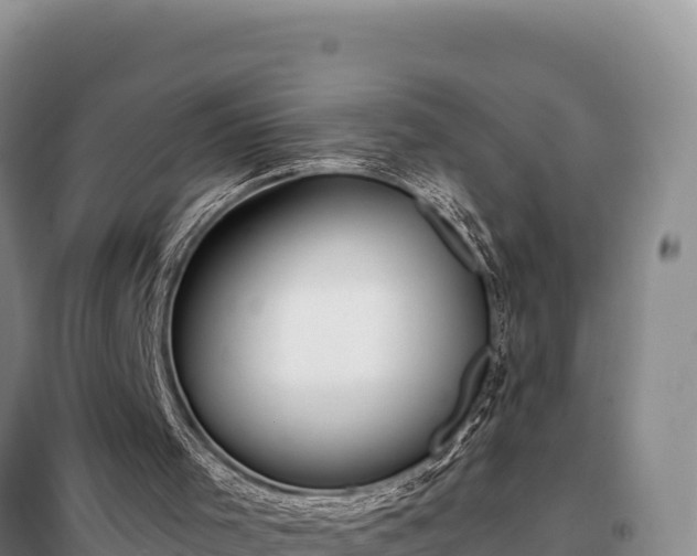 X0000099320001200805091052